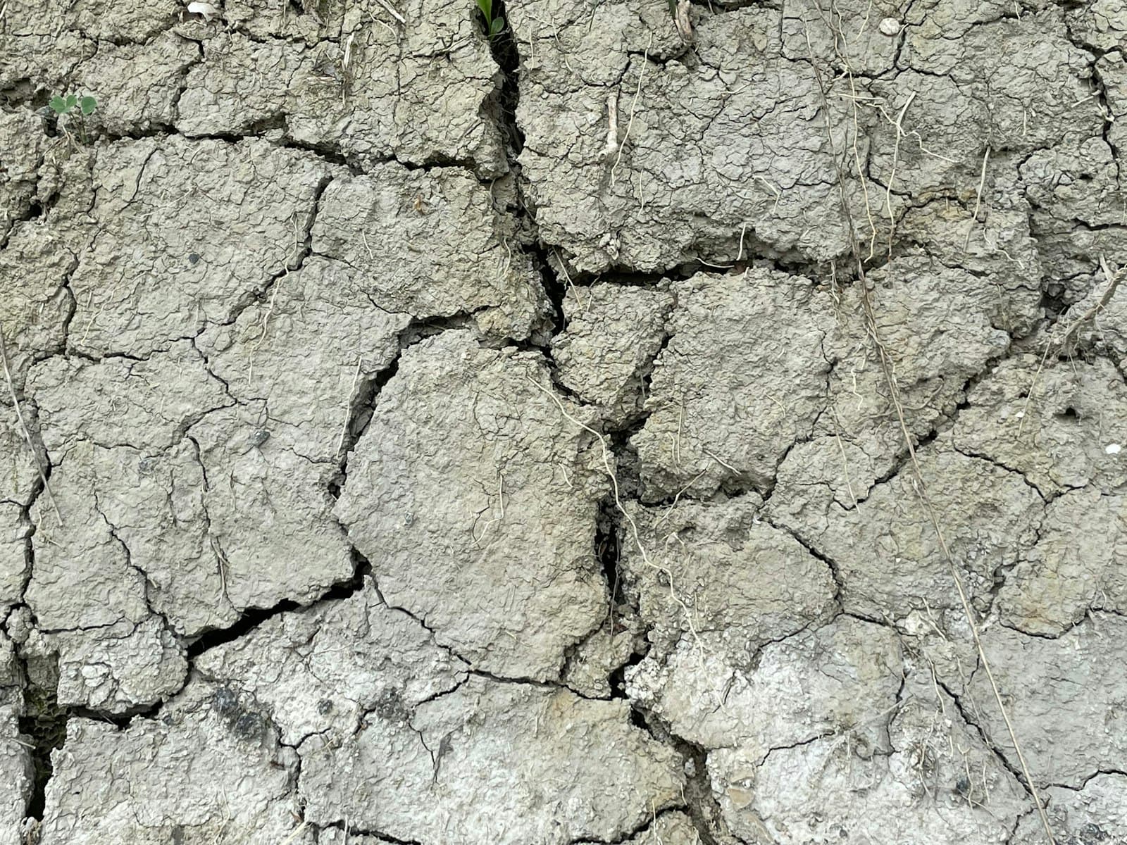 Close-up of cracked concrete surface showing damage and wear.