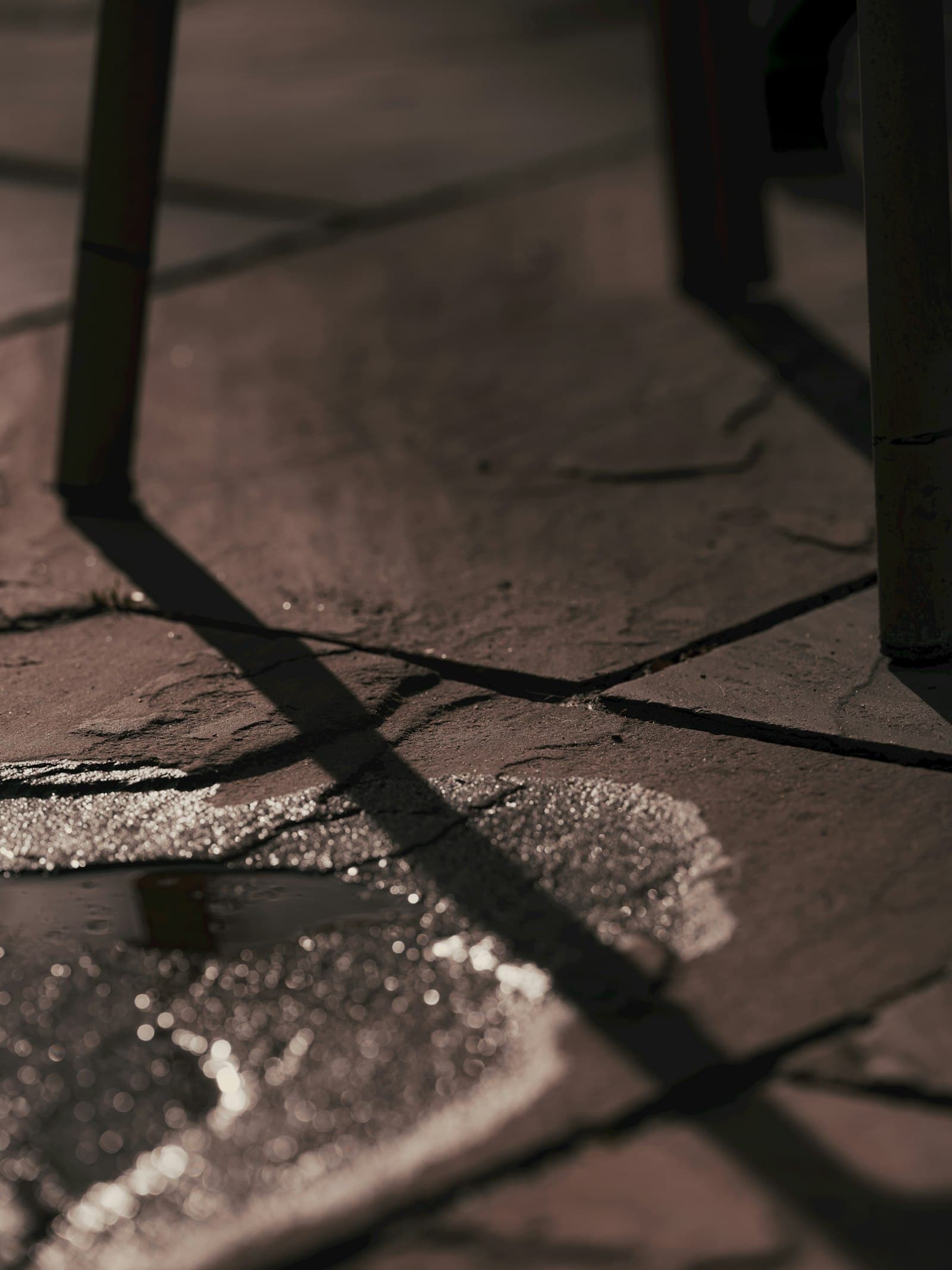 Puddle of water on a patio surface after rain.